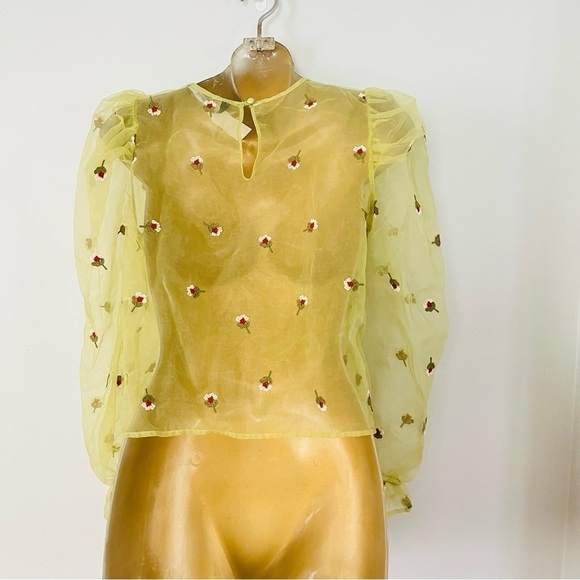 Zara Sheer Floral Puff Sleeve Top XS | Pistachio Green Romantic Euro Chic - Picture 3 of 5